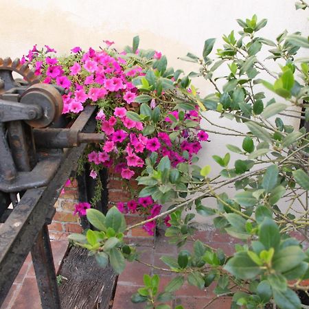 فندق La Vecchia Cartiera كولّي فال ديلسا المظهر الخارجي الصورة